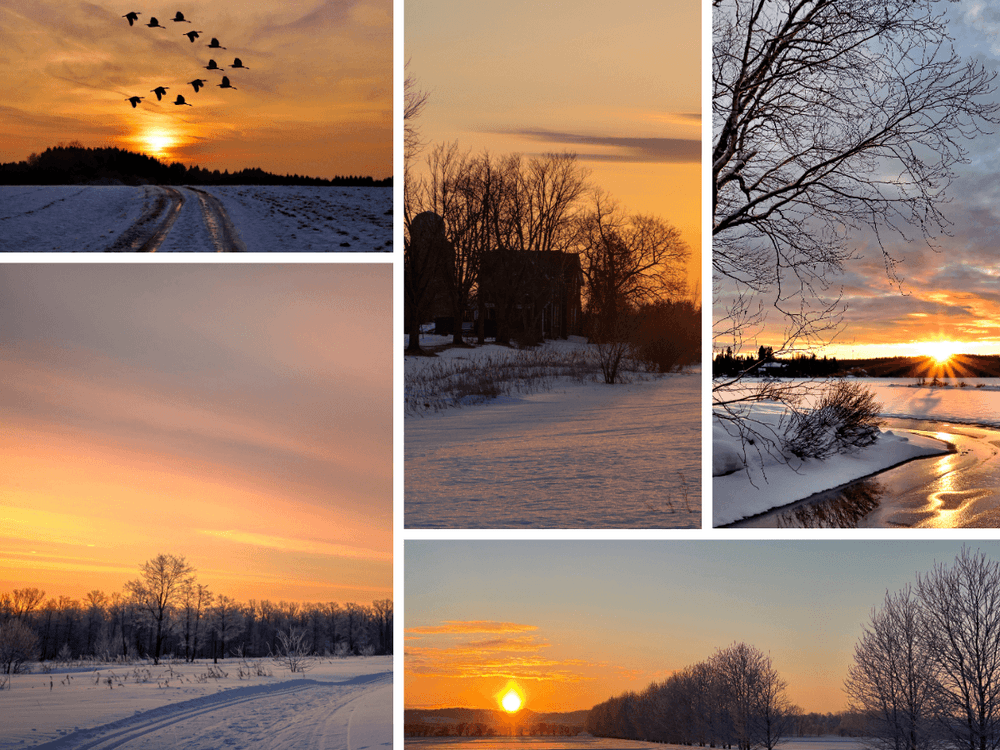 The Complete Guide to Professional Photo Studio Services in Bangladesh